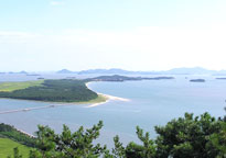 韩半岛海松林
