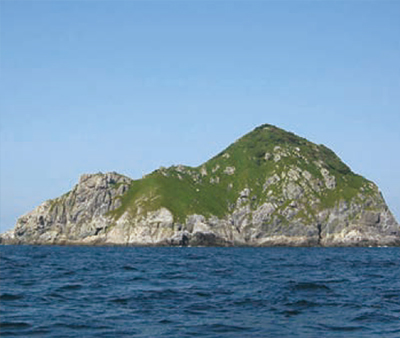 구굴도