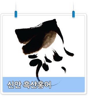 신안 흑산홍어