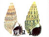 갯고둥