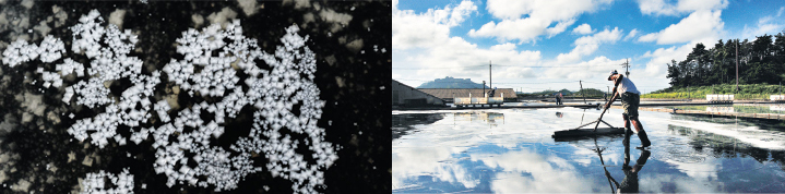 Solar Salt
