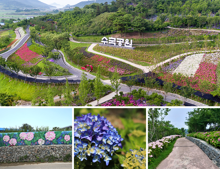수국공원