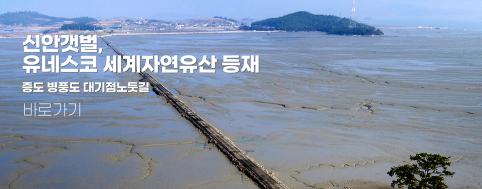 신안갯벌, 유네스코 세계자연유산 등재 증도 병풍도 대기점노둣길 바로가기