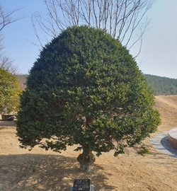 사용자 이미지 20230208_123938.jpg