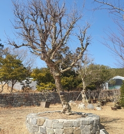 사용자 이미지 20230208_123453.jpg