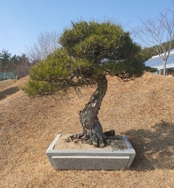 사용자 이미지 20230208_124731.jpg