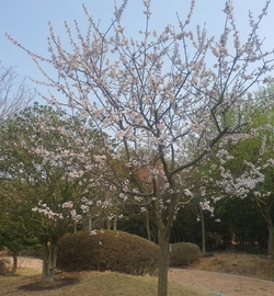 사용자 이미지 20230328_154644.jpg