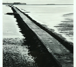Tidal Causeway 신안군 증도