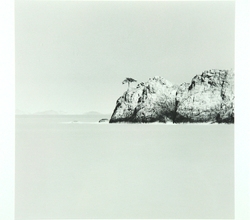Tree on Rocks 신안군 우이도