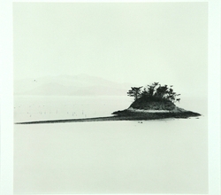 Torang Island 신안군 신의도