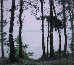 수평선