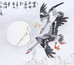 노 안