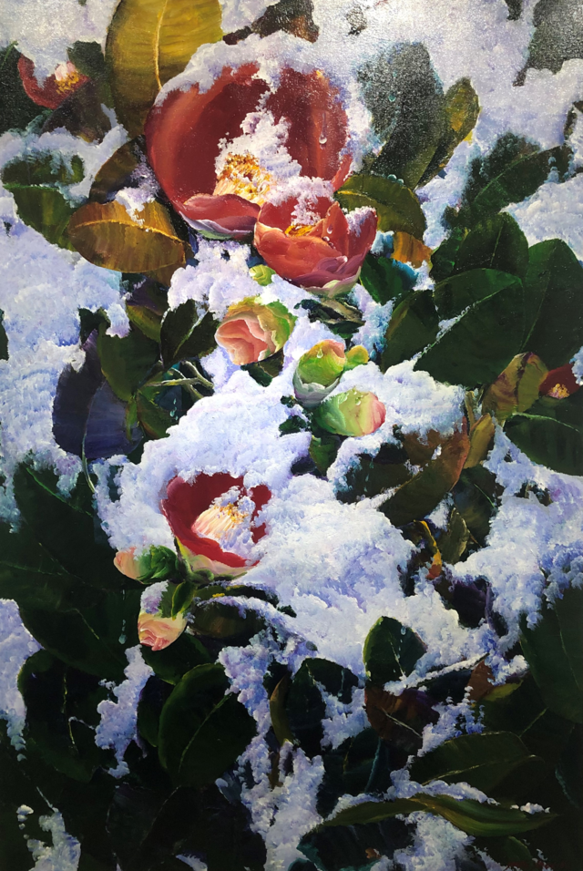 Snow camelia