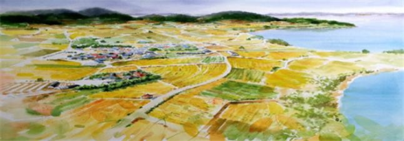 선도