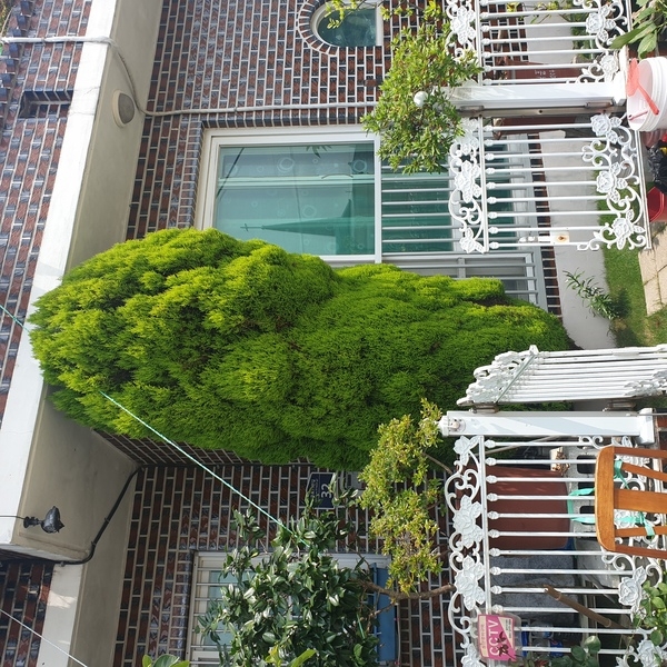 사용자 이미지 1594088959165.jpg