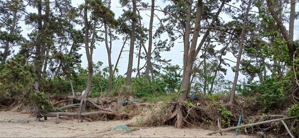 사용자 이미지 2 (1).jpg