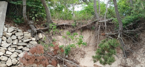 사용자 이미지 2 (2).jpg