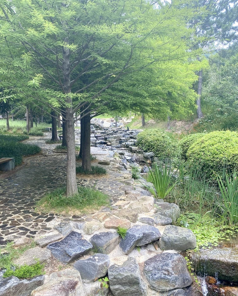 산림욕장 2