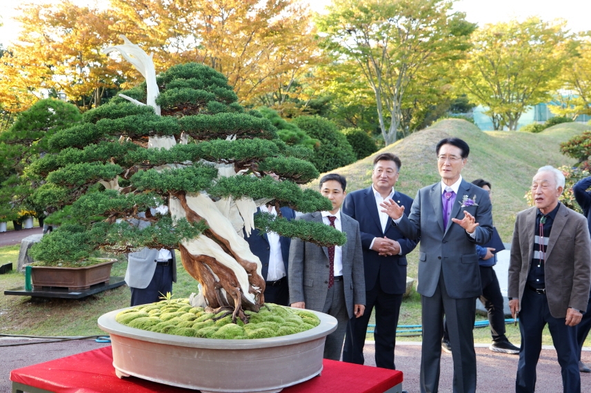 대한민국분재대전 3