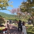 분재대전2 2