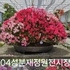 5월 30일 분재정원 1