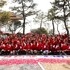 섬 겨울꽃 송별축제 1