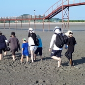 갯벌체험