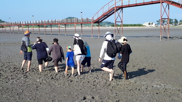갯벌체험 1