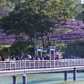 안좌면 아스타