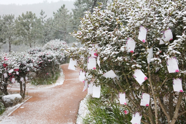 압해읍 눈 오는 날 분재공원 포토존 4