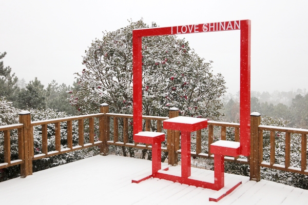 압해읍 눈 오는 날 분재공원 포토존 5