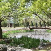 압해읍  분재공원 001