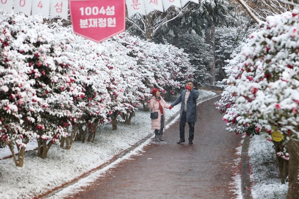 압해읍 눈 오는 날  분재정원 001 5