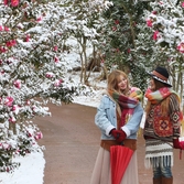 압해읍 눈 오는 날  분재정원 001