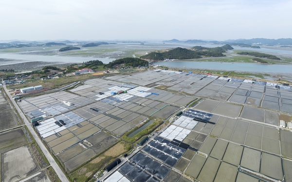 압해읍 숭의염전 2