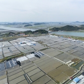 압해읍 숭의염전