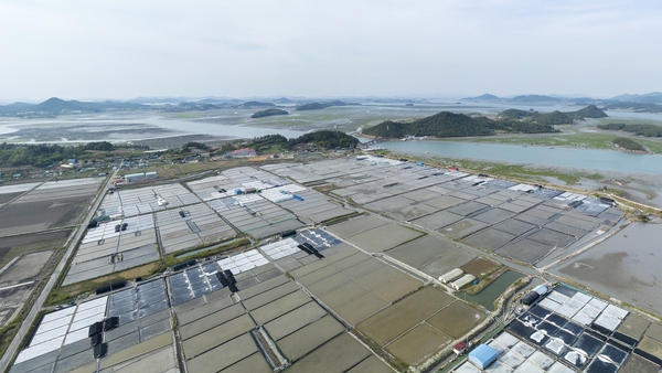 압해읍 숭의염전 1