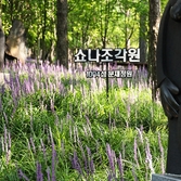압해읍 