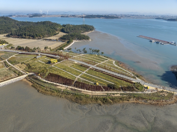 압해읍 고이도 아자니아 003 5