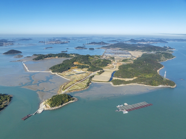 압해읍 고이도 아자니아 003 1