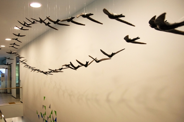 신안철새전시관001 4