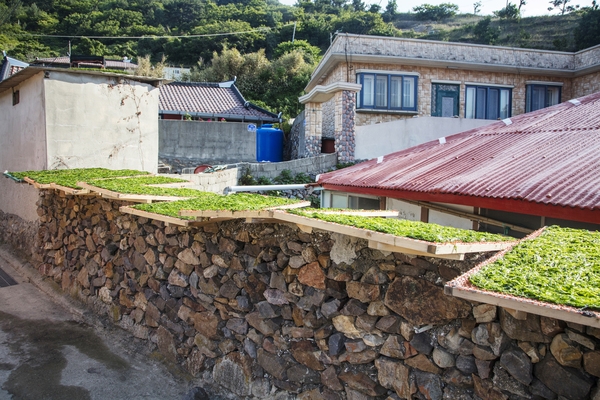 흑산면 다물도 마을전경 001 3