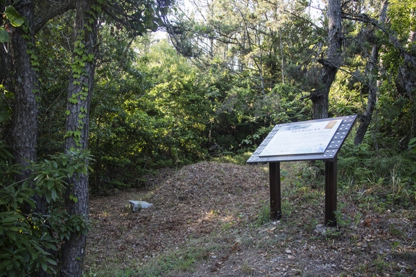 흑산면 대둔도 오리마을전경 6