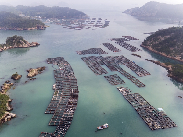 흑산면 대둔도 가두리양식 4