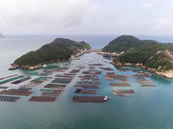 흑산 다물도 가두리 양식장 4