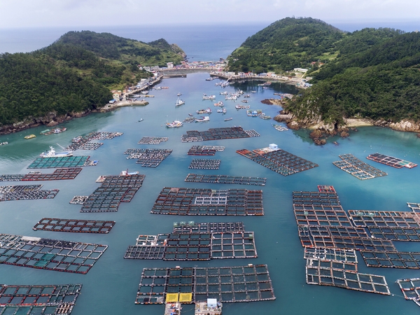 흑산 다물도 가두리 양식장 1