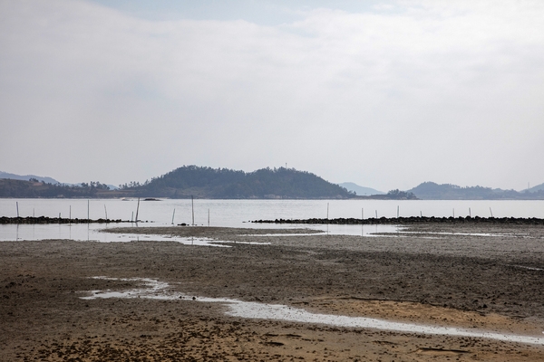 임자 삼봉끝 독살 4