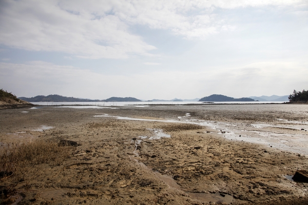 임자 삼봉끝 독살 1