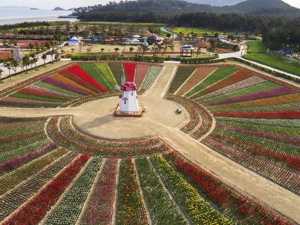 드론으로 본 튤립공원001 2