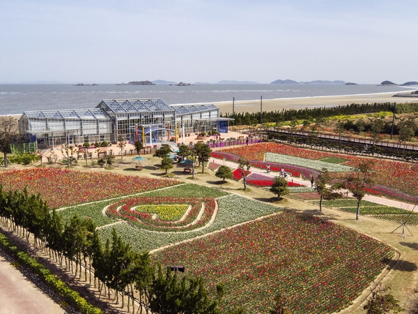 드론으로 본 튤립공원002 4